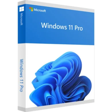 Windows 11 Pro